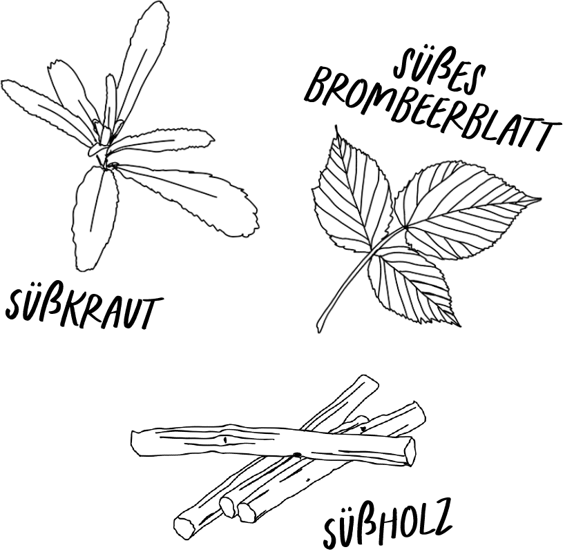 Zeichnung eines süßktautes, eines süßen Brombeerblattes und eines süßholzes